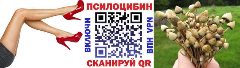 hydra маркетплейс  Павлово  Псилоцибиновые грибы мицелий 